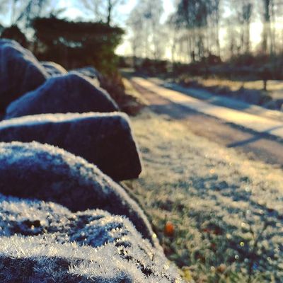 Grön Rehab i Halland | Lilla Hälsoträdgården - Kontakta din vårdcentral för remiss.